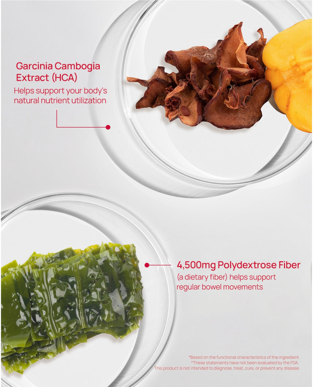 Foodology Coleology Bowel Movement Jelly (10ea)